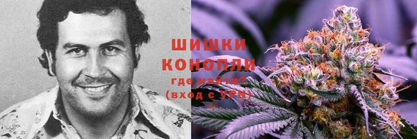 крисы Мегион