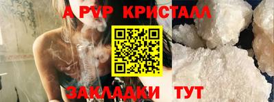 шишки Будённовск