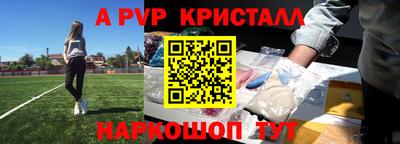 шишки Будённовск