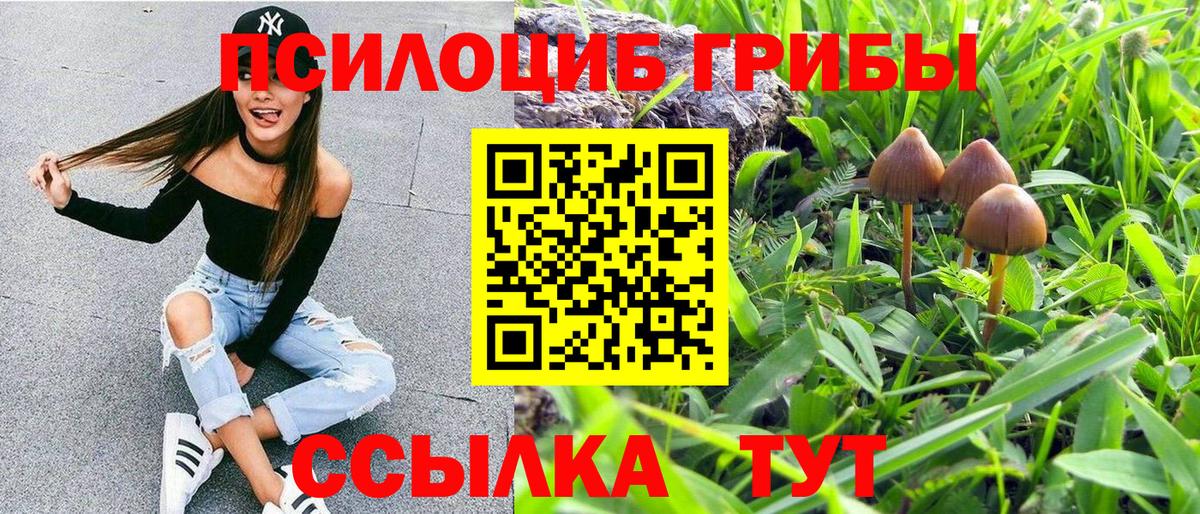 Галлюциногенные грибы прущие грибы  как найти закладки  Донецк 